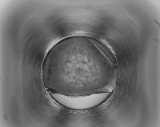 X0000094421336200711291540