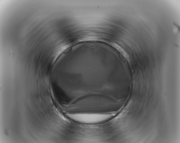 X0000094421337200711291540
