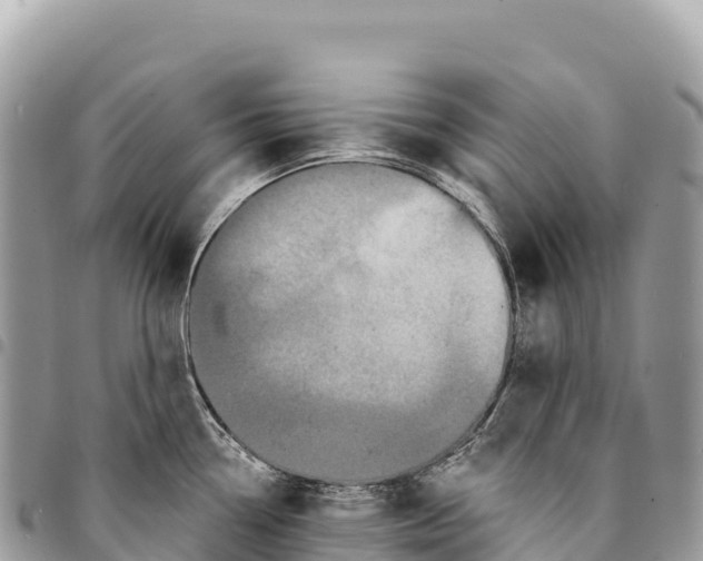 X0000094421338200711291540