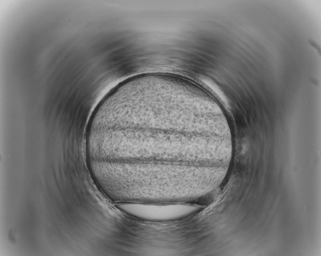 X0000094421340200711291540