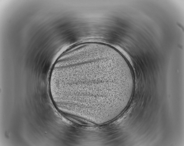 X0000094421341200711291540