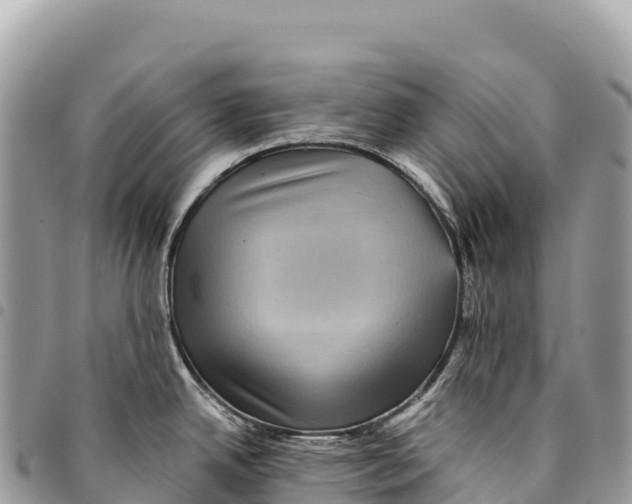 X0000094421342200711291540