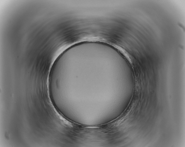 X0000094421343200711291541