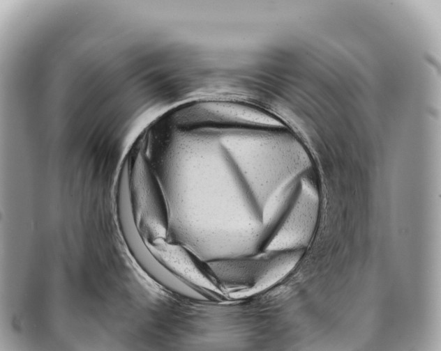X0000094421344200711291541