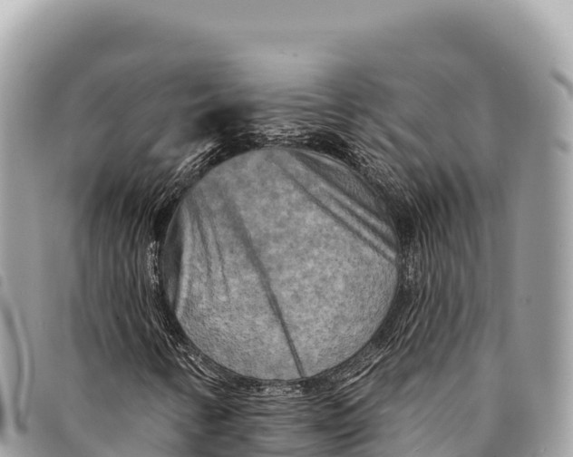 X0000094421346200711291540