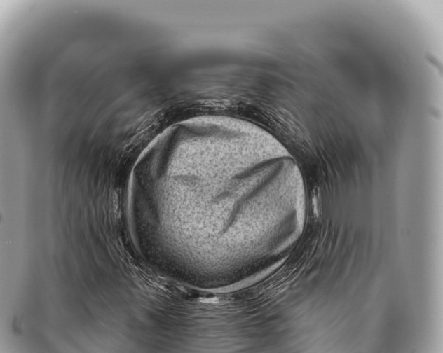 X0000094421347200711291540