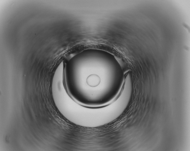 X0000094421348200711291540