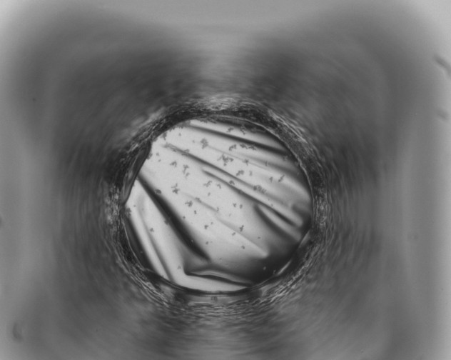 X0000094421349200711291540