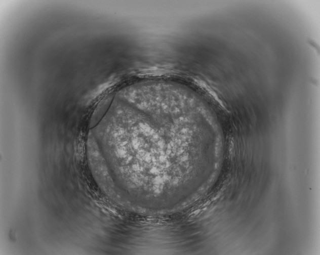 X0000094421350200711291540