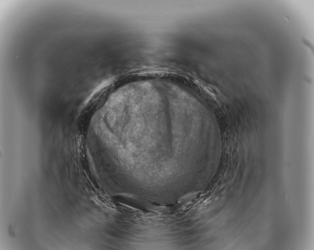 X0000094421351200711291540
