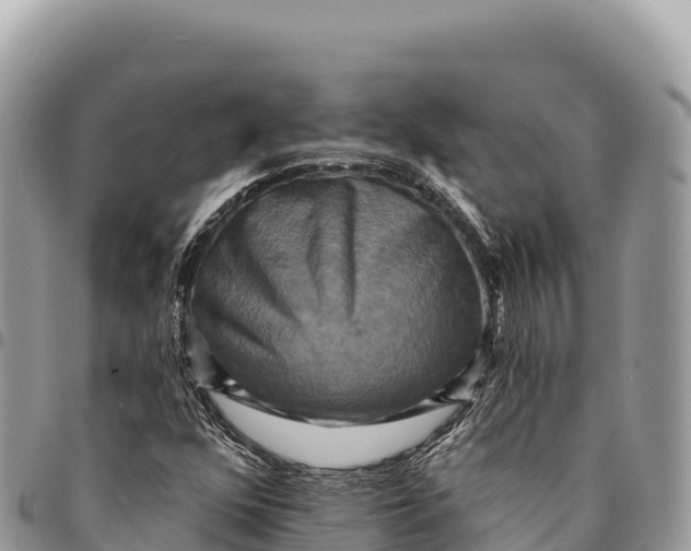X0000094421352200711291540