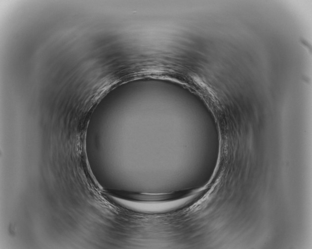 X0000094421353200711291540