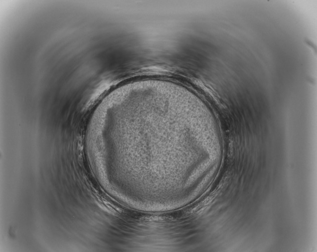 X0000094421355200711291540