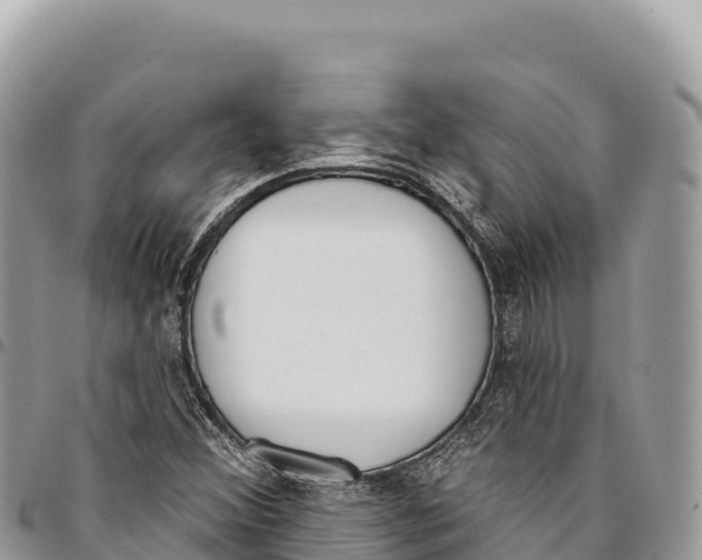 X0000094421356200711291540