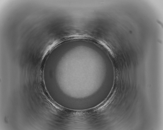X0000094421357200711291540