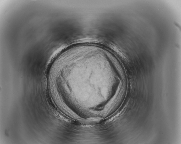 X0000094421358200711291539