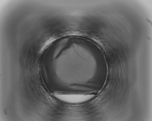 X0000094421359200711291539