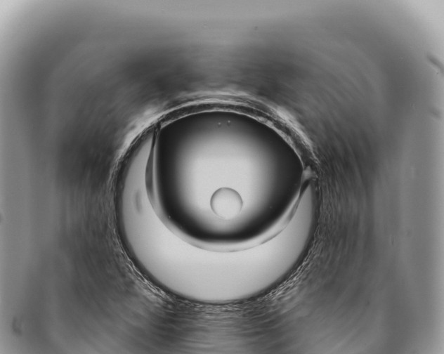 X0000094421360200711291539