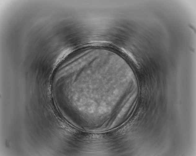 X0000094421362200711291539