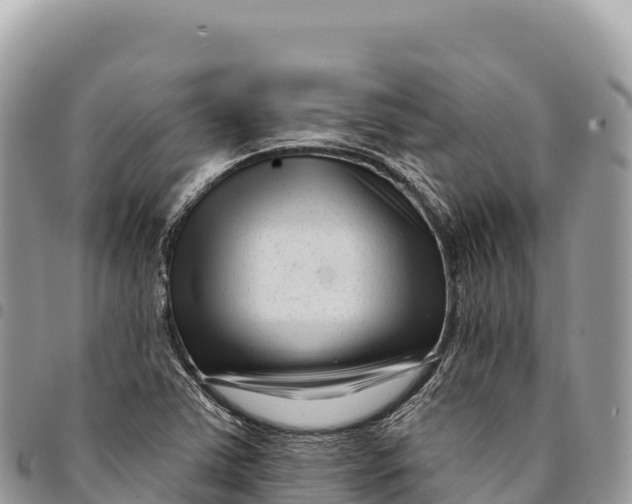 X0000094421363200711291539