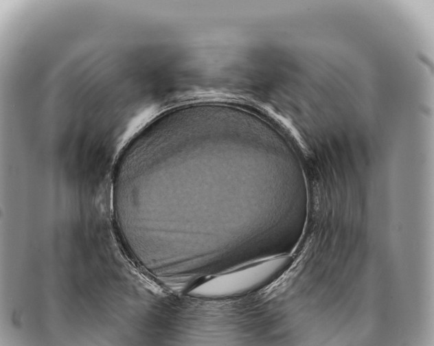 X0000094421365200711291539