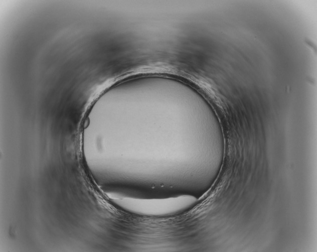 X0000094421366200711291539