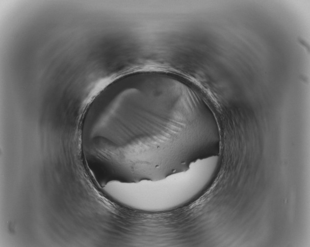 X0000094421367200711291539