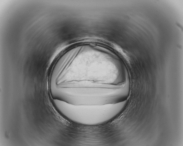 X0000094421368200711291539