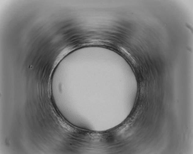 X0000094421370200711291539