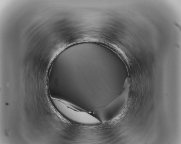 X0000094421373200711291539