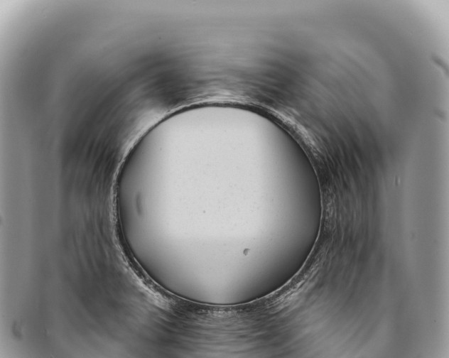 X0000094421375200711291539