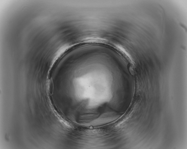 X0000094421376200711291539