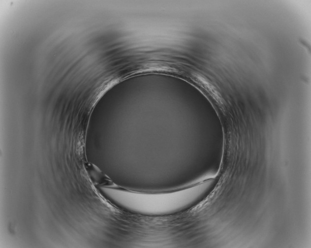 X0000094421377200711291539