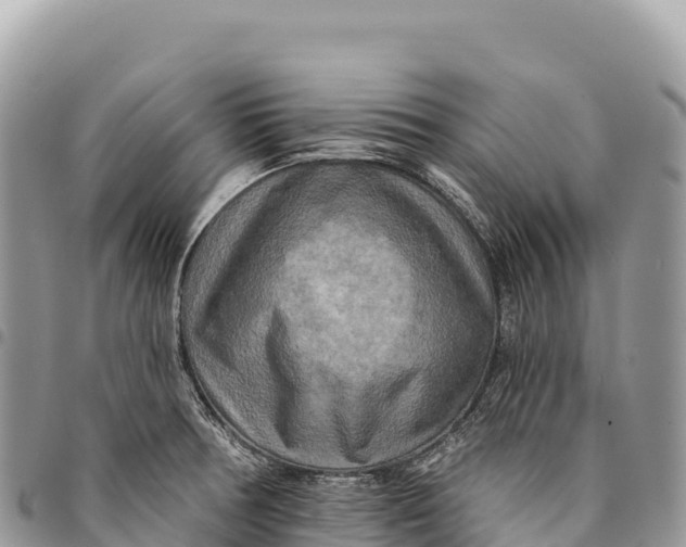 X0000094421378200711291539