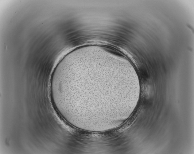 X0000094421379200711291539