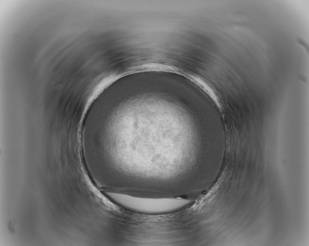 X0000094421381200711291539