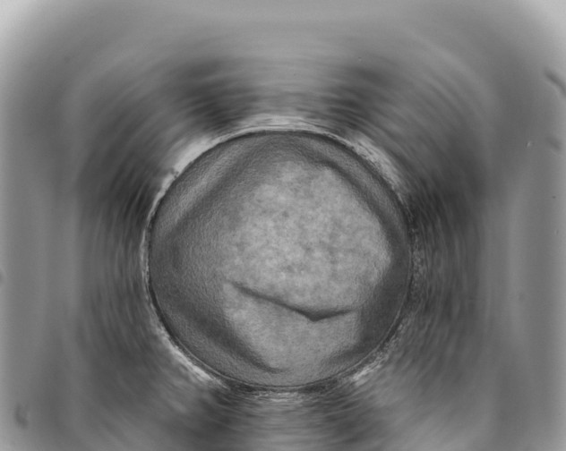 X0000094421382200711291539