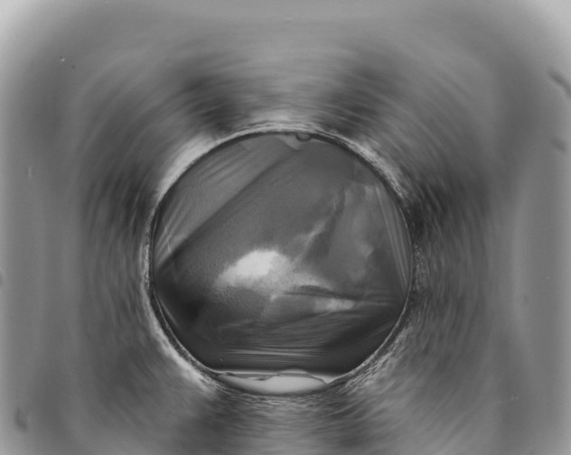 X0000094421383200711291539
