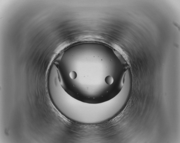 X0000094421384200711291539