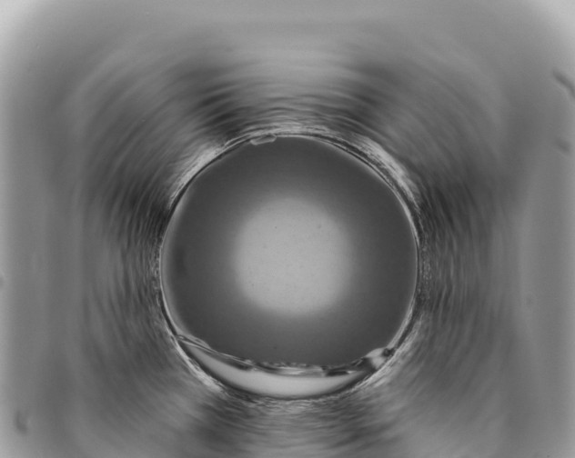 X0000094421385200711291539