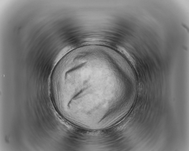 X0000094421386200711291539