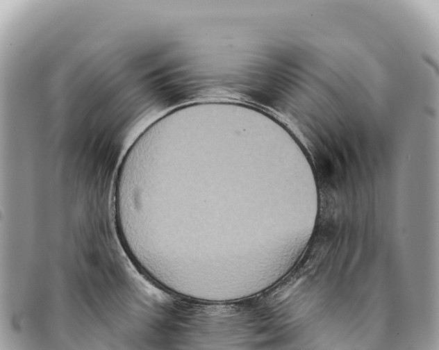 X0000094421387200711291539