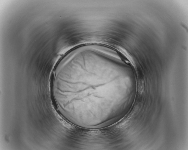 X0000094421388200711291539