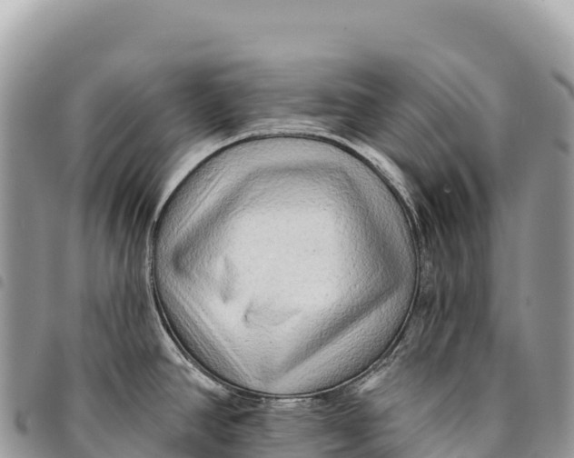 X0000094421390200711291539