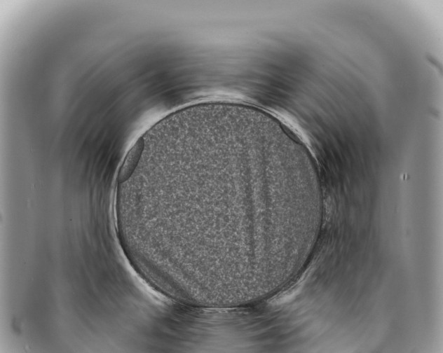 X0000094421391200711291539