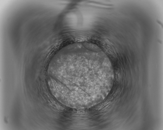 X0000094421393200711291538
