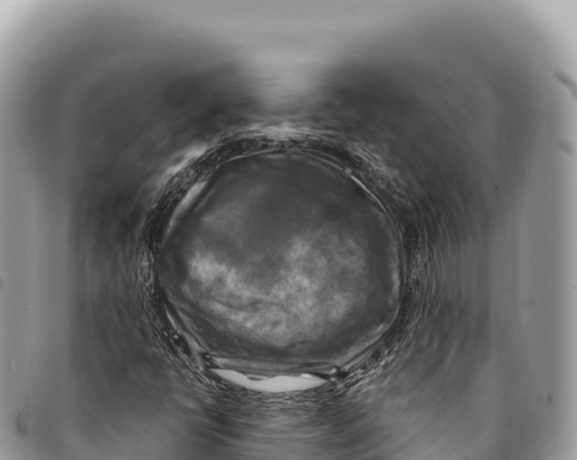 X0000094421398200711291538