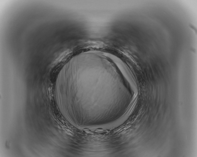 X0000094421399200711291538