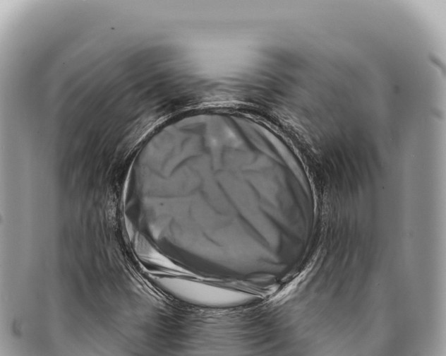 X0000094421401200711291538