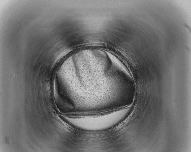 X0000094421402200711291538
